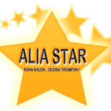 RINOVIM TUALETI & PLLAKA / HIDROSANITARE - ALIA STAR